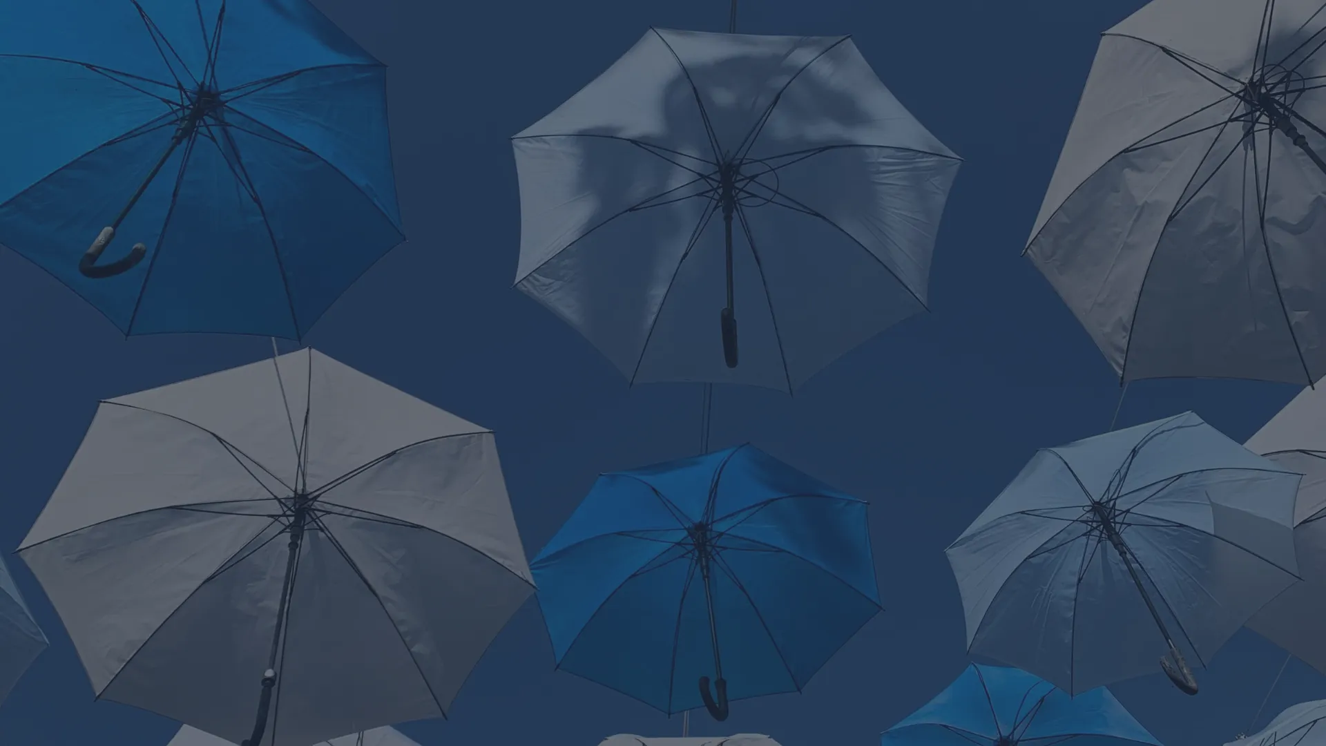 Actuarial and Insurance Risk Forum _ Hero _ Umbrella